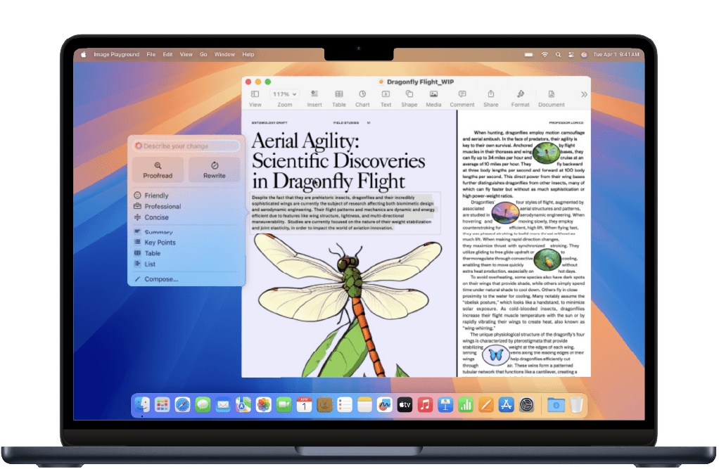 macbook-with-dragonfly-school-project-displayed